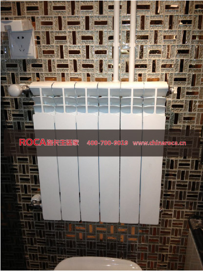 南京明裝暖氣——衛(wèi)生間