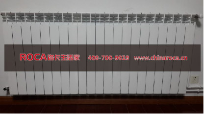 南京聚福園花園明裝暖氣氣客廳暖氣片