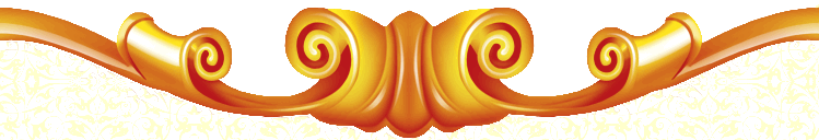 �忨�����