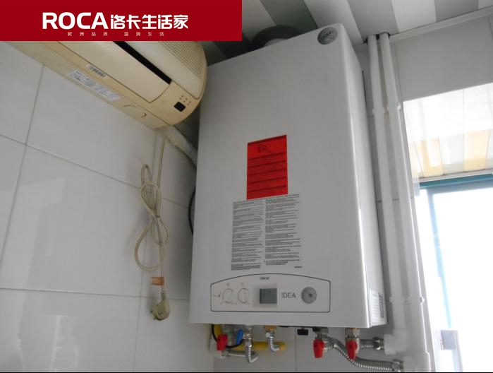 \南京進(jìn)口暖氣片壁掛爐 明裝暖氣片 中央凈水