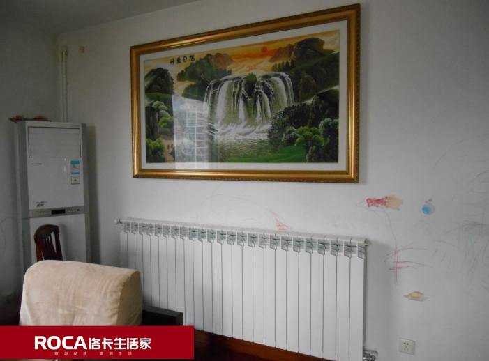 \南京進(jìn)口暖氣片壁掛爐 明裝暖氣片 中央凈水