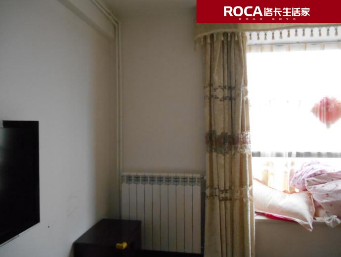 \南京進(jìn)口暖氣片壁掛爐 明裝暖氣片 中央凈水