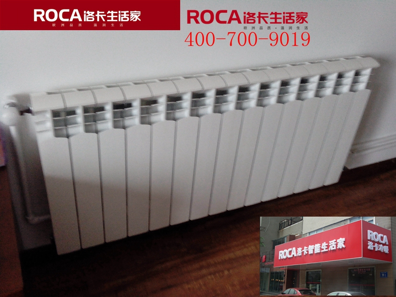 \南京進(jìn)口暖氣片壁掛爐 明裝暖氣片 中央凈水