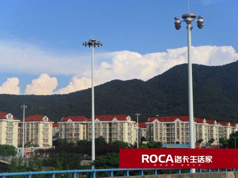 \南京進(jìn)口暖氣片壁掛爐 明裝暖氣片 中央凈水