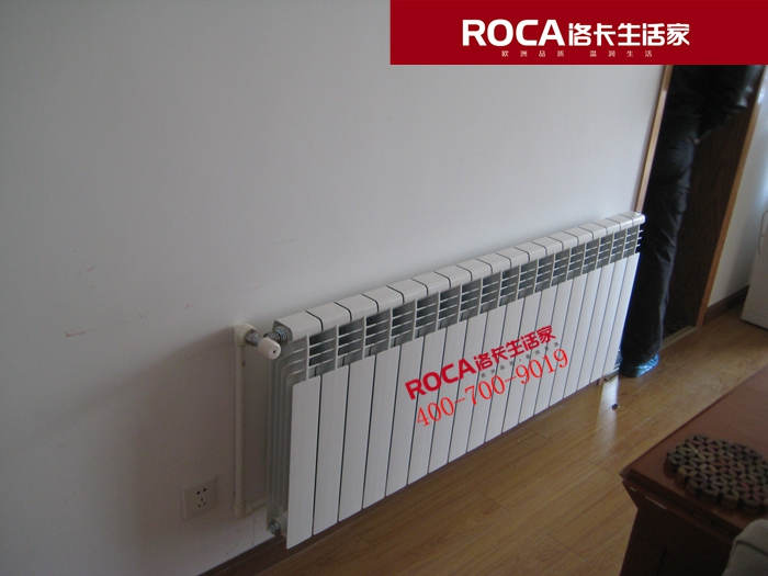 \南京進(jìn)口暖氣片壁掛爐 明裝暖氣片 中央凈水