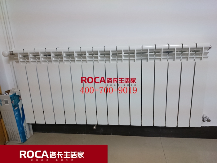 \南京進口暖氣片壁掛爐 明裝暖氣片 中央凈水