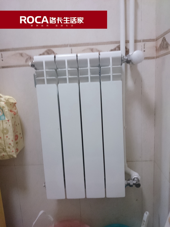 \南京進口暖氣片壁掛爐 明裝暖氣片 中央凈水