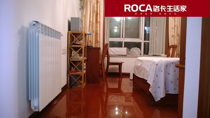 \南京進(jìn)口暖氣片壁掛爐 明裝暖氣片 中央凈水