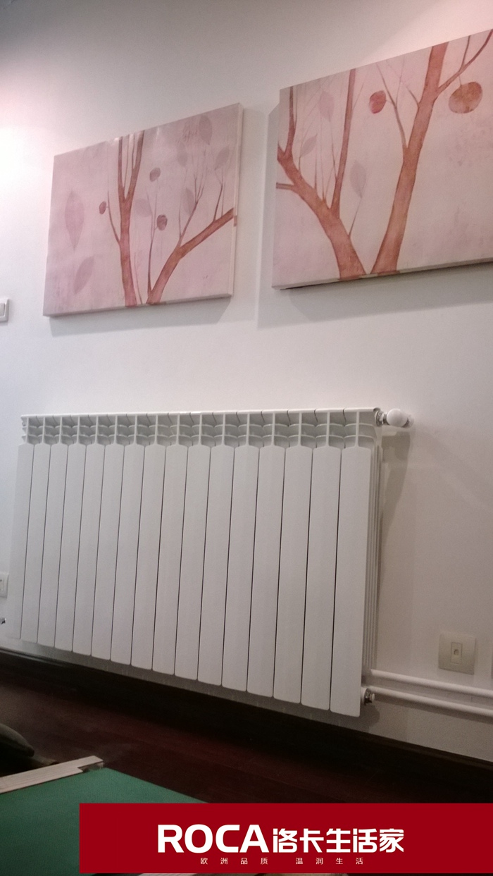 \南京進口暖氣片壁掛爐 明裝暖氣片 中央凈水