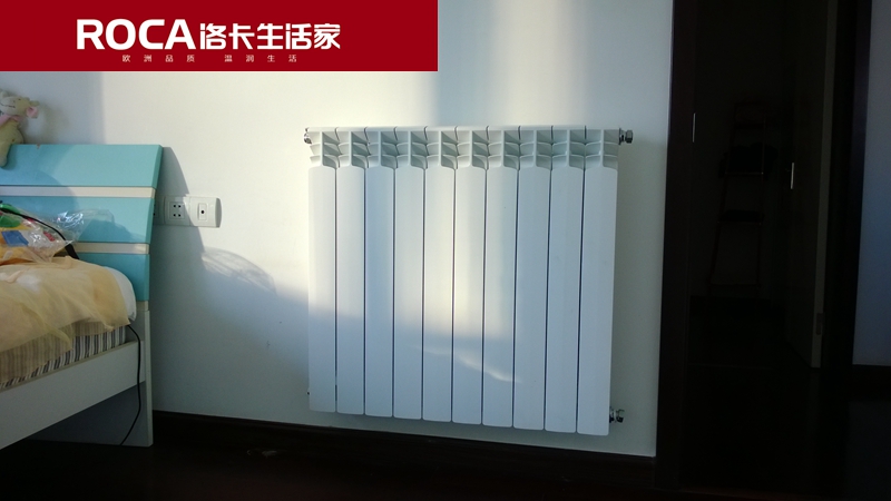 \南京進口暖氣片壁掛爐 明裝暖氣片 中央凈水