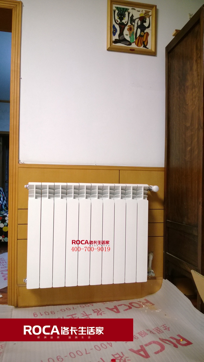 \南京進口暖氣片壁掛爐 明裝暖氣片 中央凈水