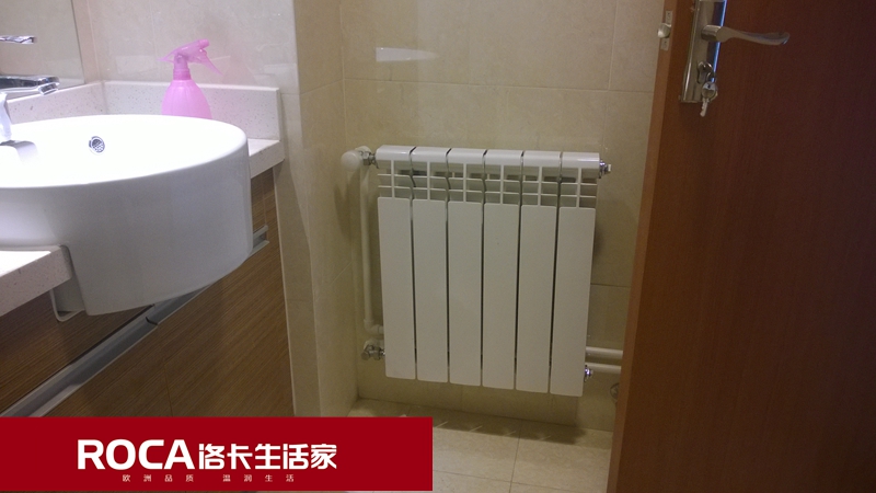 \南京進(jìn)口暖氣片壁掛爐 明裝暖氣片 中央凈水