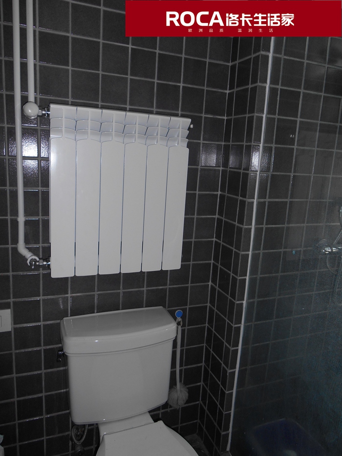 \南京進(jìn)口暖氣片壁掛爐 明裝暖氣片 中央凈水