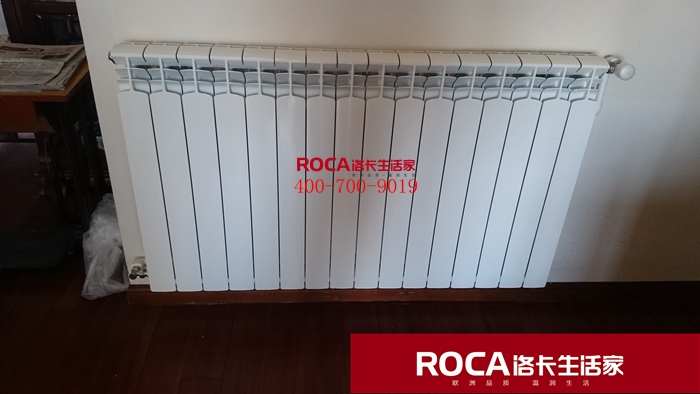 \南京進口暖氣片壁掛爐 明裝暖氣片 中央凈水