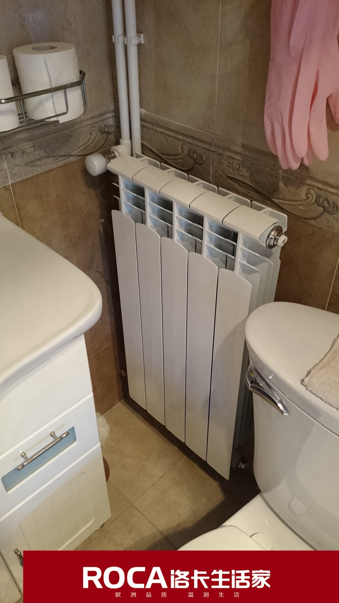 \南京進口暖氣片壁掛爐 明裝暖氣片 中央凈水