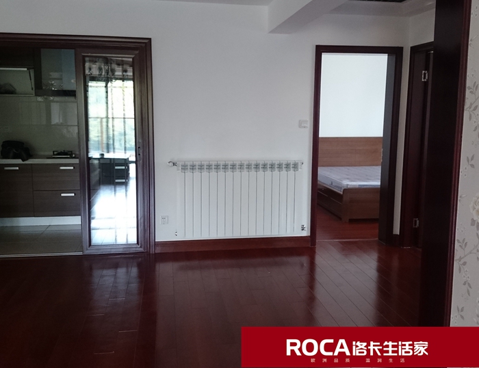 \南京進口暖氣片壁掛爐 明裝暖氣片 中央凈水