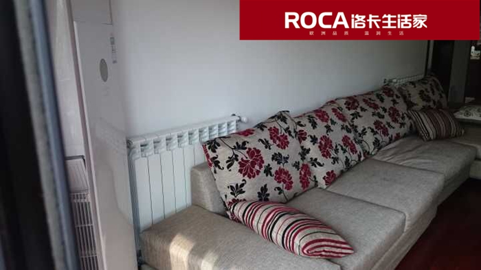 \南京進口暖氣片壁掛爐 明裝暖氣片 中央凈水