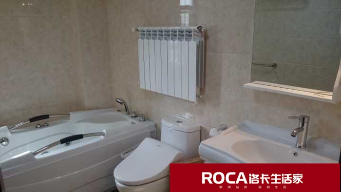 \南京進口暖氣片壁掛爐 明裝暖氣片 中央凈水