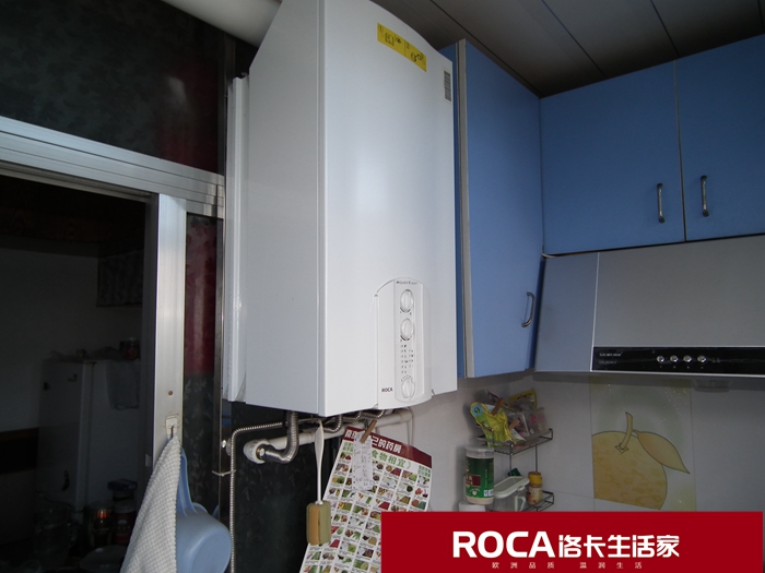 \南京進口暖氣片壁掛爐 明裝暖氣片 中央凈水