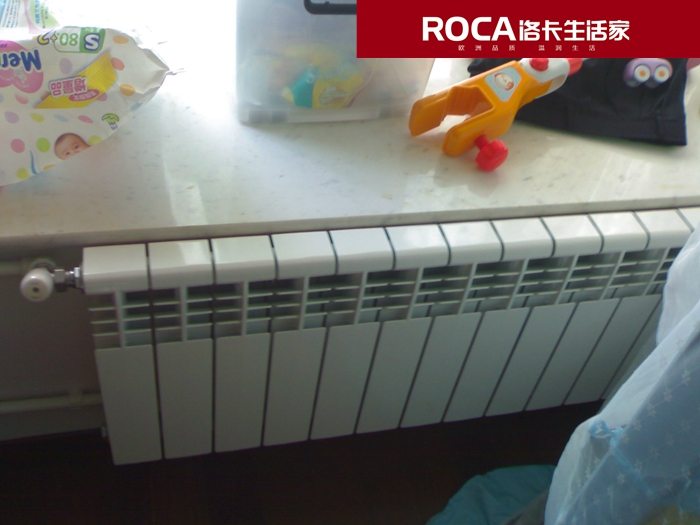 \南京進口暖氣片壁掛爐 明裝暖氣片 中央凈水