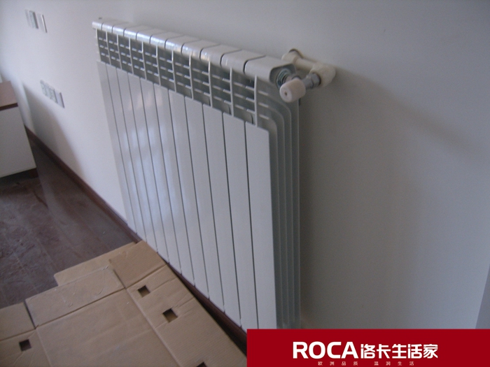 \南京進口暖氣片壁掛爐 明裝暖氣片 中央凈水