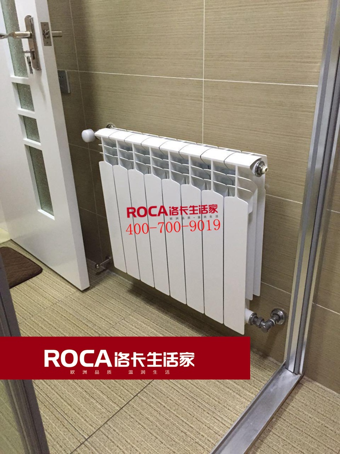 \南京進口暖氣片壁掛爐 明裝暖氣片 中央凈水