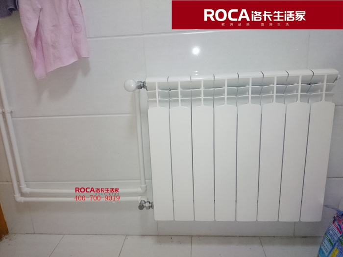 \南京進(jìn)口暖氣片壁掛爐 明裝暖氣片 中央凈水