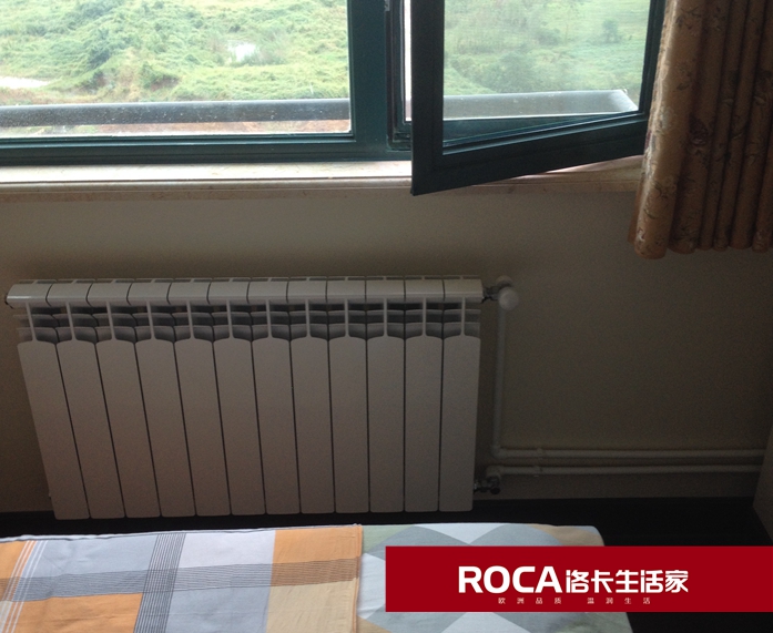 \南京進口暖氣片壁掛爐 明裝暖氣片 中央凈水