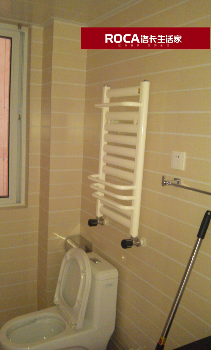 \南京進(jìn)口暖氣片壁掛爐 明裝暖氣片 中央凈水 南陽