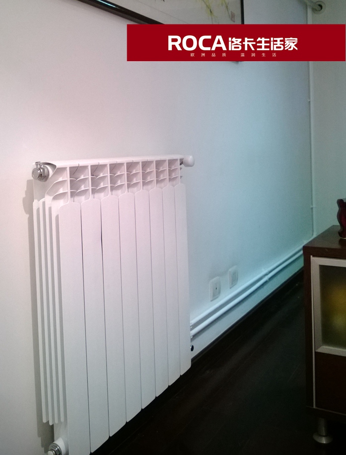 \南京進(jìn)口暖氣片壁掛爐 明裝暖氣片 中央凈水