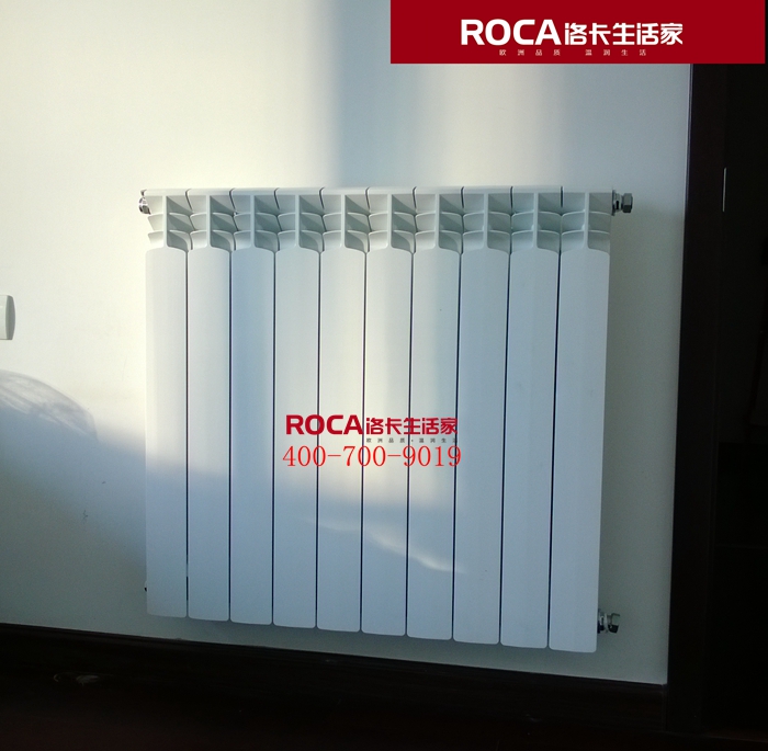 \南京進(jìn)口暖氣片壁掛爐 明裝暖氣片 中央凈水