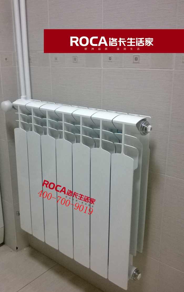 \南京進(jìn)口暖氣片壁掛爐 明裝暖氣片 中央凈水