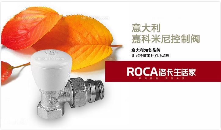 \南京進口暖氣片壁掛爐 明裝暖氣片 中央凈水