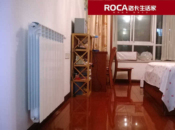 \南京進(jìn)口暖氣片壁掛爐 明裝暖氣片 中央凈水