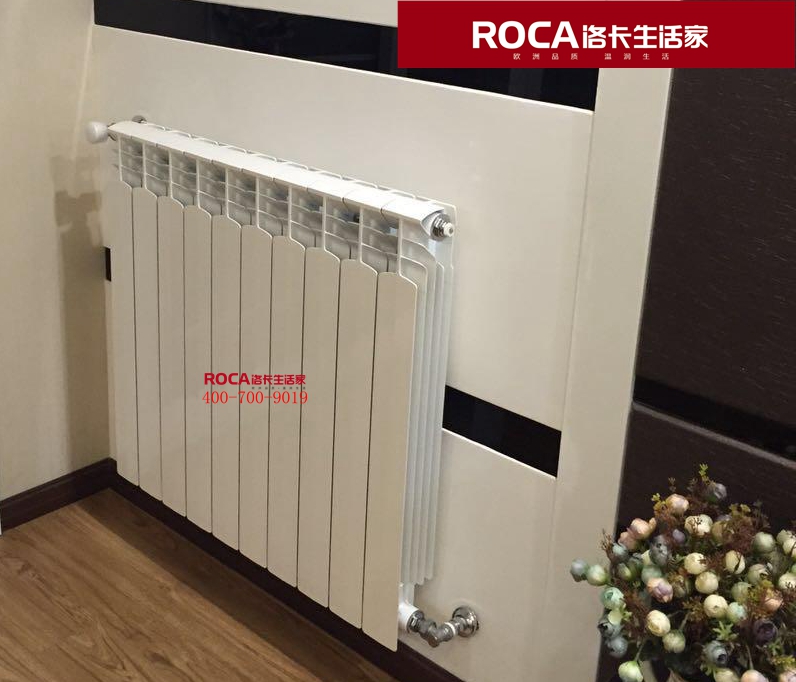 \南京進(jìn)口暖氣片壁掛爐 明裝暖氣片 中央凈水