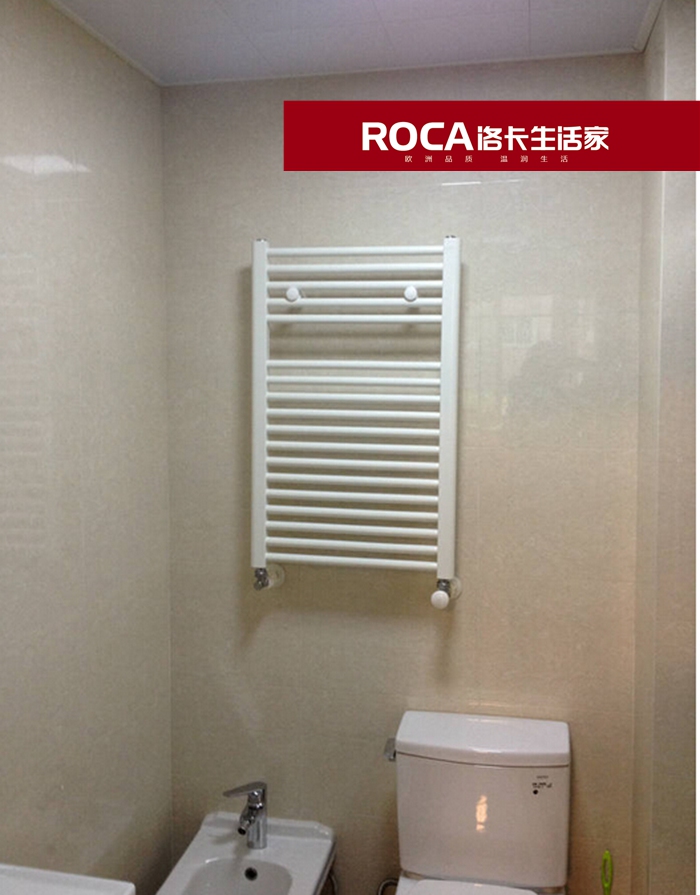 \南京進(jìn)口暖氣片壁掛爐 明裝暖氣片 中央凈水