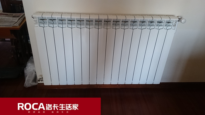 \南京進口暖氣片壁掛爐 明裝暖氣片 中央凈水