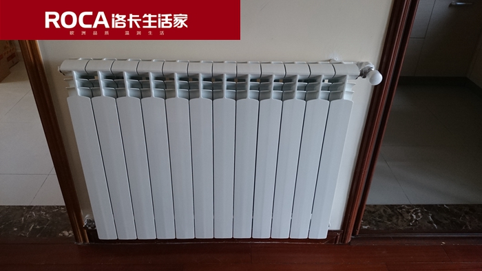 \南京進口暖氣片壁掛爐 明裝暖氣片 中央凈水