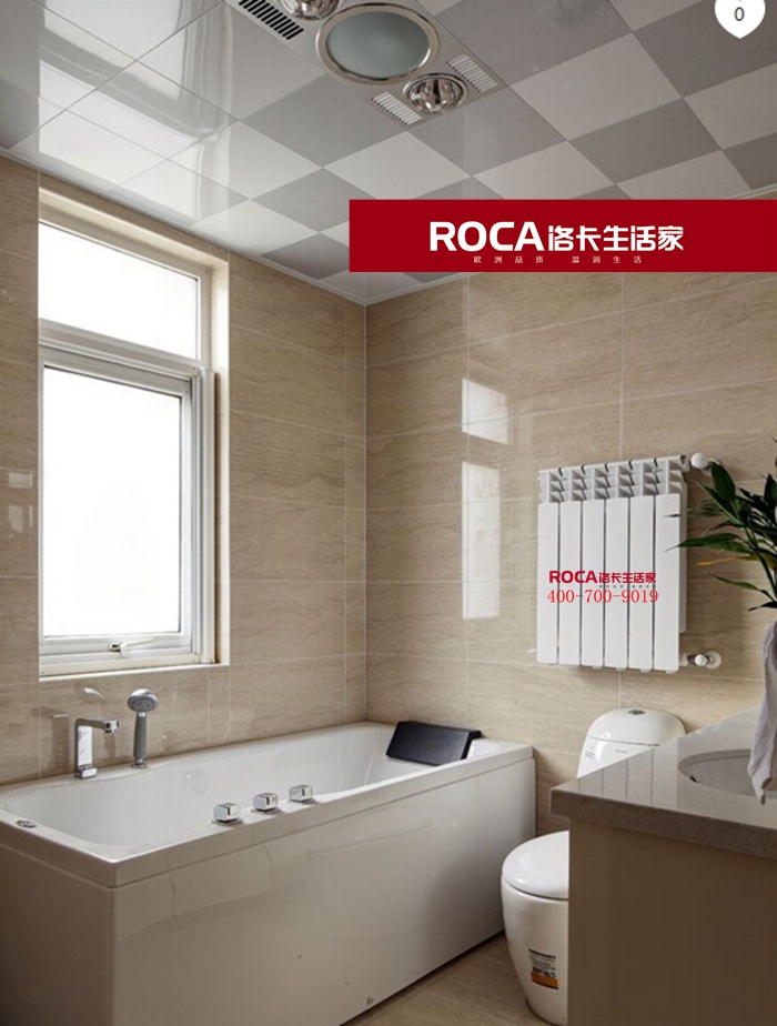 \南京進口暖氣片壁掛爐 明裝暖氣片 中央凈水