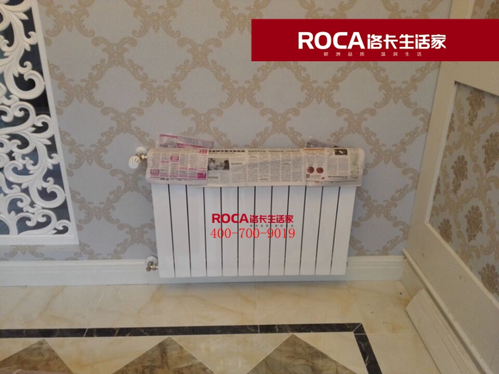 \南京進(jìn)口暖氣片壁掛爐 明裝暖氣片 中央凈水