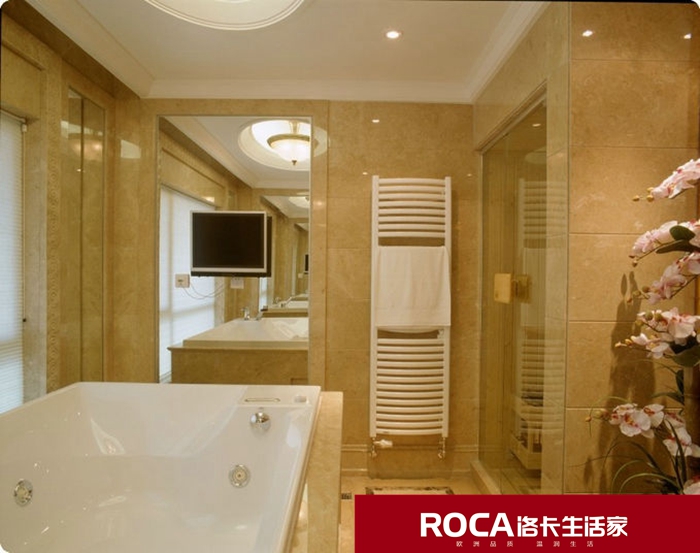 \南京進(jìn)口暖氣片壁掛爐 明裝暖氣片 中央凈水