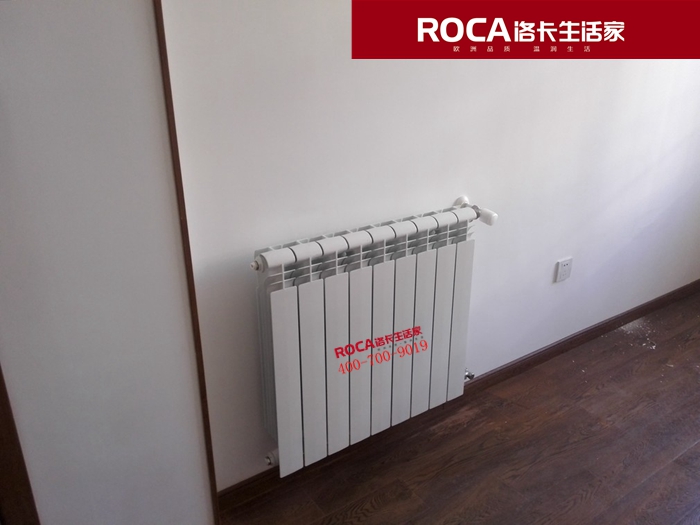 \南京進(jìn)口暖氣片壁掛爐 明裝暖氣片 中央凈水