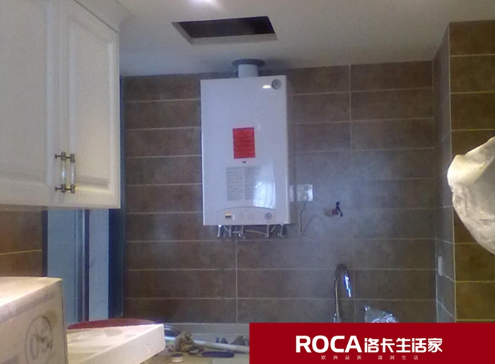 \南京進口暖氣片壁掛爐 明裝暖氣片 中央凈水