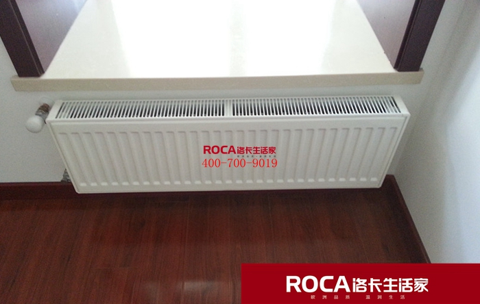 \南京進口暖氣片壁掛爐 明裝暖氣片 中央凈水