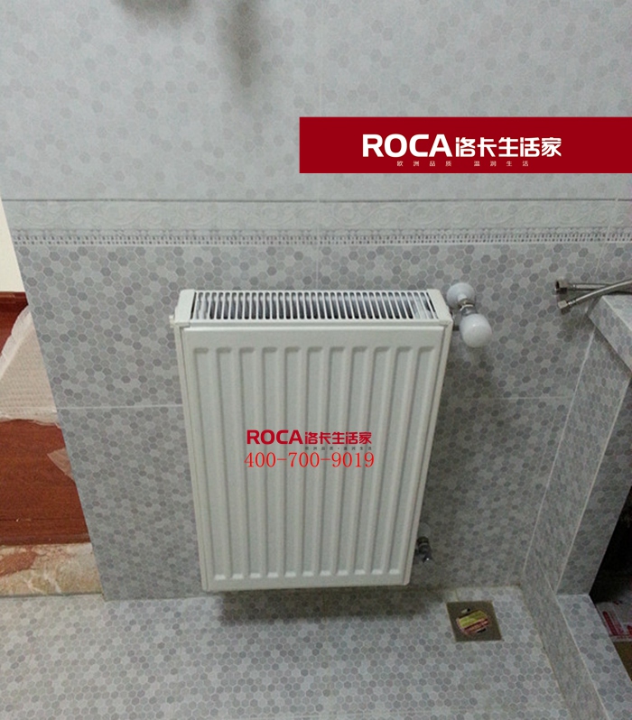 \南京進口暖氣片壁掛爐 明裝暖氣片 中央凈水