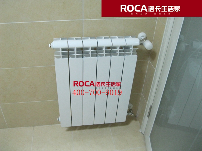 \南京進口暖氣片壁掛爐 明裝暖氣片 中央凈水