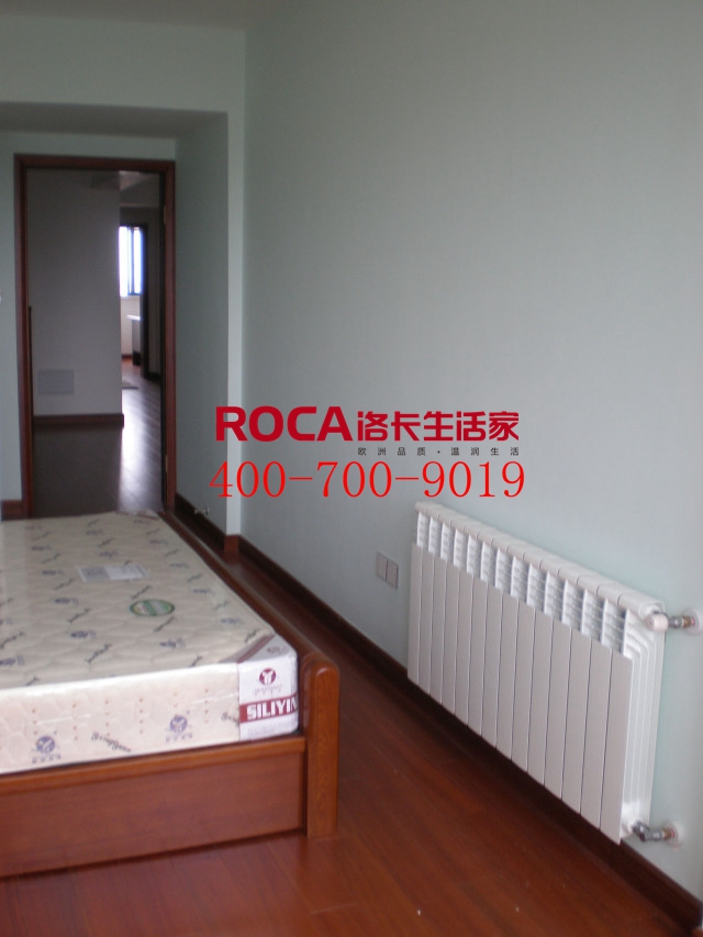 \南京進(jìn)口暖氣片壁掛爐 明裝暖氣片 中央凈水