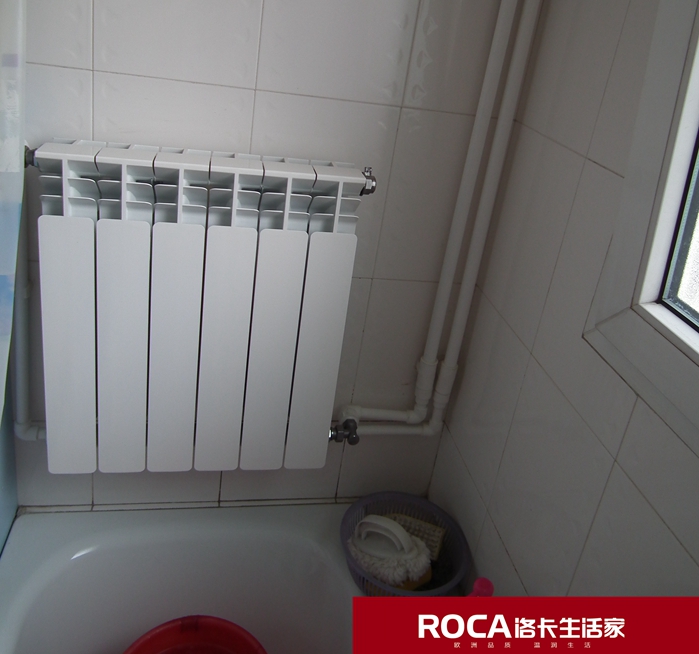 \南京進(jìn)口暖氣片壁掛爐 明裝暖氣片 中央凈水