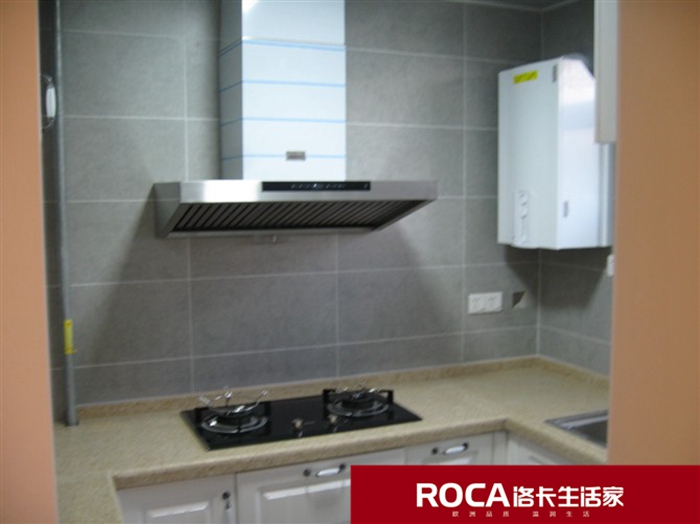 \南京進(jìn)口暖氣片壁掛爐 明裝暖氣片 中央凈水