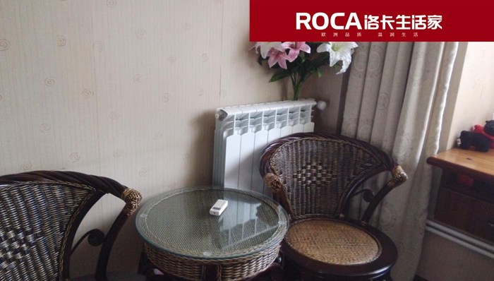 \南京進口暖氣片壁掛爐 明裝暖氣片 中央凈水